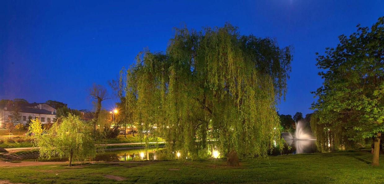 Apartament Solna 80 - Centrum Miasta Z Podziemnym Garazem Kielce Buitenkant foto